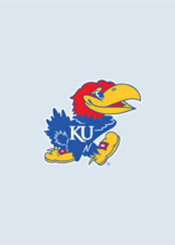 Jayhawk for photo unavailable